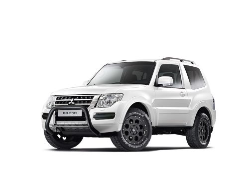 MITSUBISHI PAJERO PININ OCHRANNÁ PLACHTA NA AUTO (2006-2018)