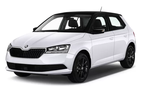 SKODA FABIA III. (NJ) 3D GUMOVÉ ROHOŽE (2014-2021)