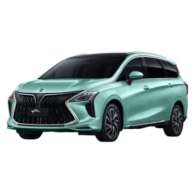 DONGFENG FORTHING U-TOUR VANIČKA DO KUFRA (2020-)