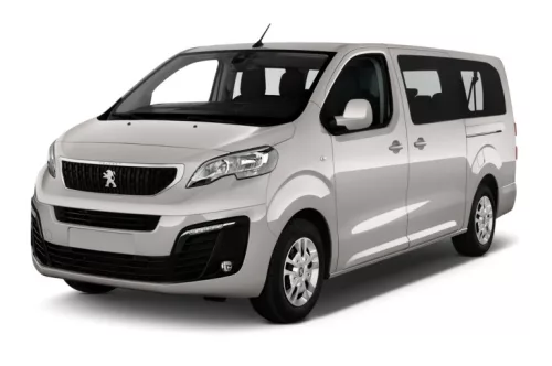PEUGEOT TRAVELLER 2016-> PRAHOVÉ LIŠTY "Embossed rectangles" (2ks-ZADNÉ) - SATÉNOVÁ STRIEBORNÁ - AVISA