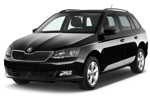 SKODA FABIA III hatchback 2014-2018, FL2018-2021 PRAHOVÉ LIŠTY "Exclusive" (4 ks) - SATÉNOVÁ STRIEBORNÁ - AVISA