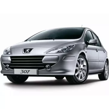 PEUGEOT 307 GUMOVÉ ROHOŽE (2001-2009)