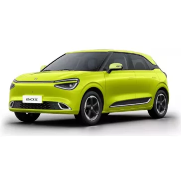 DONGFENG BOX AUTOKOBERCE (2024-)