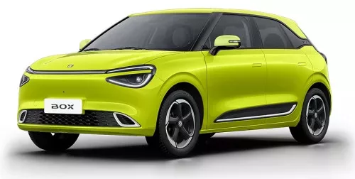 DONGFENG BOX AUTOKOBERCE (2024-)