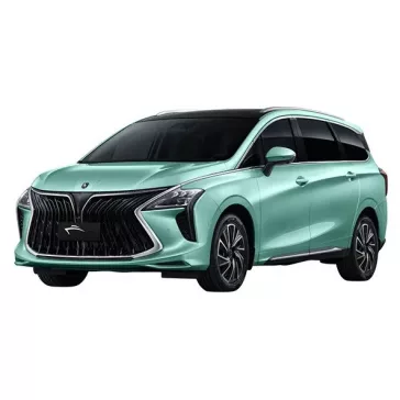 DONGFENG FORTHING U-TOUR GUMOVÉ ROHOŽE (2020-)