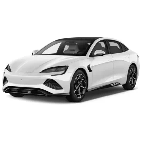 BYD DOLPHIN DEFLEKTORY (2021-)