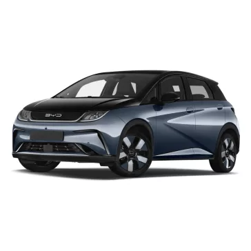 BYD DOLPHIN DEFLEKTORY (2021-)