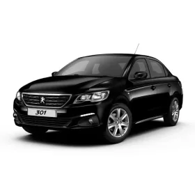   PEUGEOT 301 PAWA Bočné ochranné lišty na dvere (2012-2022)