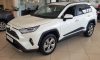 TOYOTA RAV4 (V) Bočné ochranné lišty na dvere (2019-)