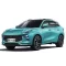 DONGFENG FORTHING T5 EVO PAWA Bočné ochranné lišty na dvere (2020-)