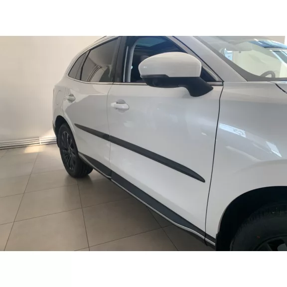 DONGFENG FORTHING T5 EVO PAWA Bočné ochranné lišty na dvere (2020-)