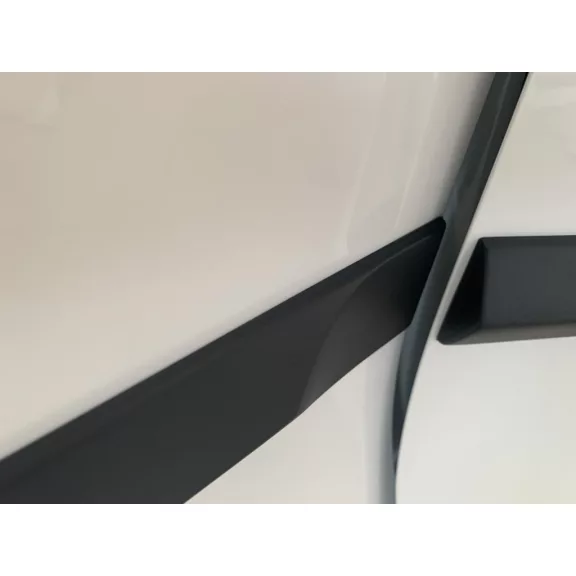 DONGFENG FORTHING T5 EVO PAWA Bočné ochranné lišty na dvere (2020-)