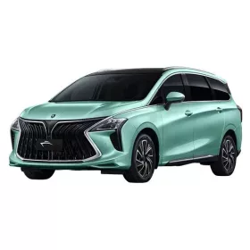   DONGFENG FORTHING U-TOUR PAWA Bočné ochranné lišty na dvere (2020-)