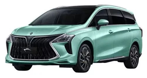 DONGFENG FORTHING U-TOUR PAWA Bočné ochranné lišty na dvere (2020-)