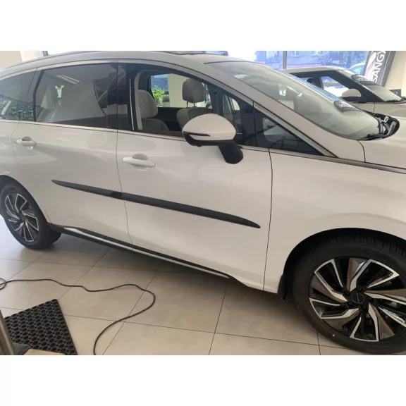 DONGFENG FORTHING U-TOUR PAWA Bočné ochranné lišty na dvere (2020-)