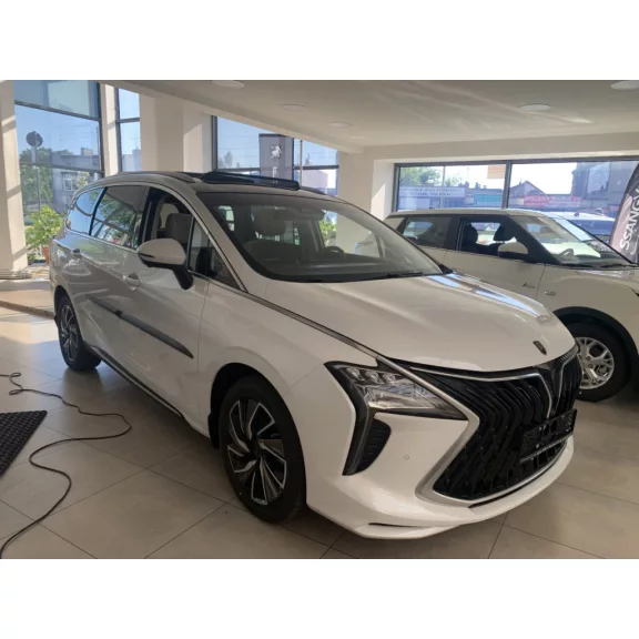 DONGFENG FORTHING U-TOUR PAWA Bočné ochranné lišty na dvere (2020-)