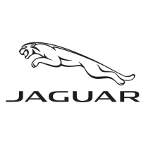 JAGUAR DEFLEKTORY