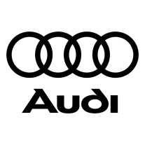 AUDI DEFLEKTORY